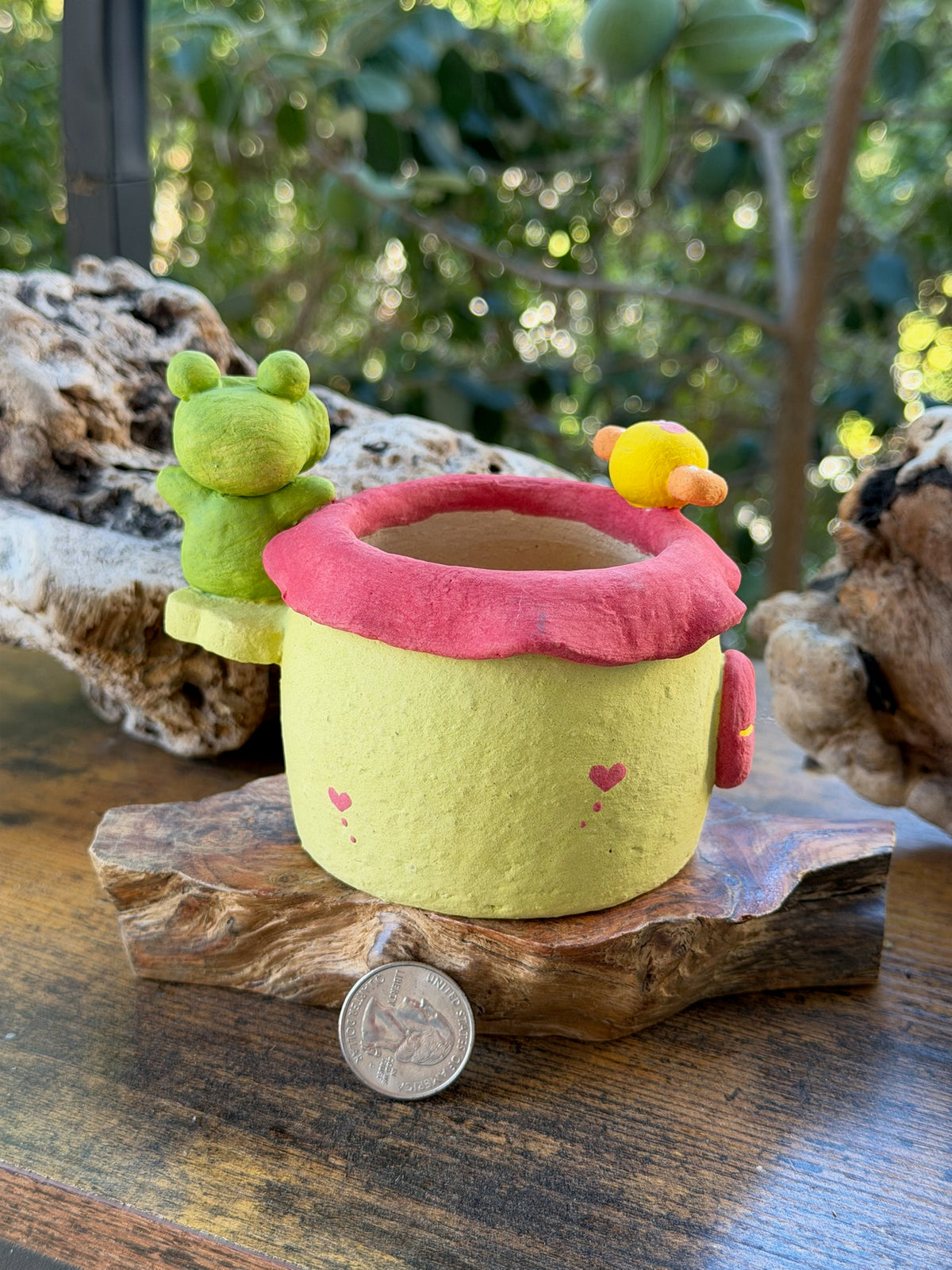 Little Frog House planter