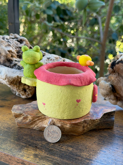 Little Frog House planter