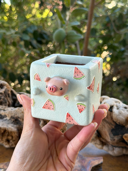 Watermelon pig