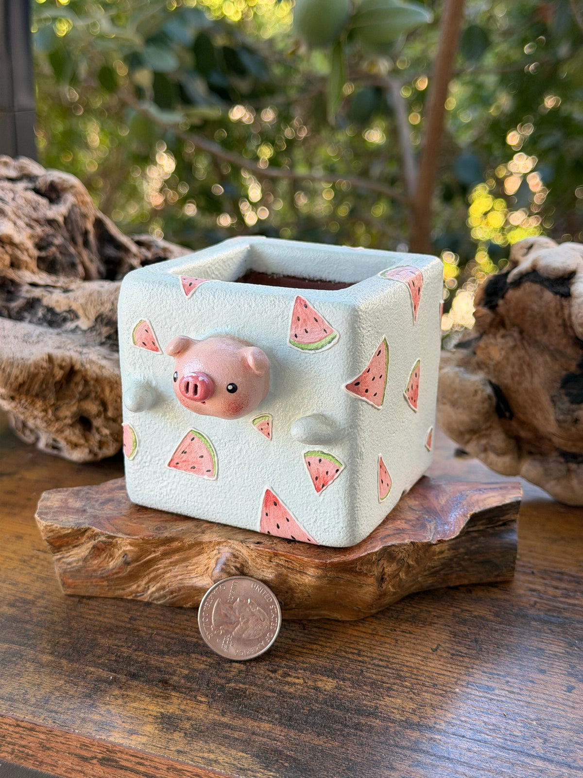 Watermelon pig