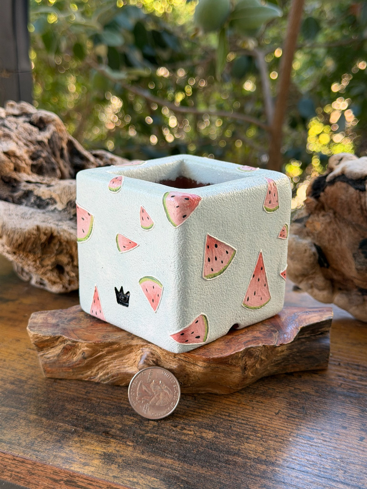 Watermelon pig