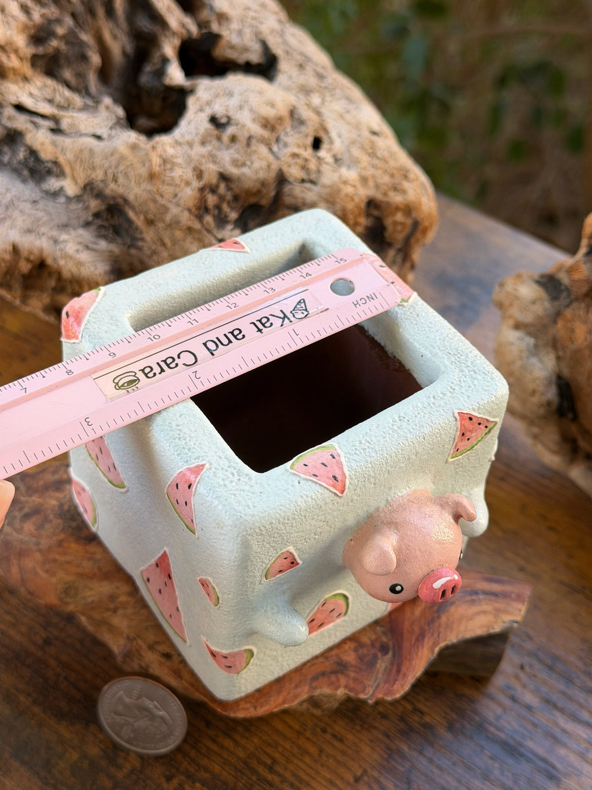 Watermelon pig