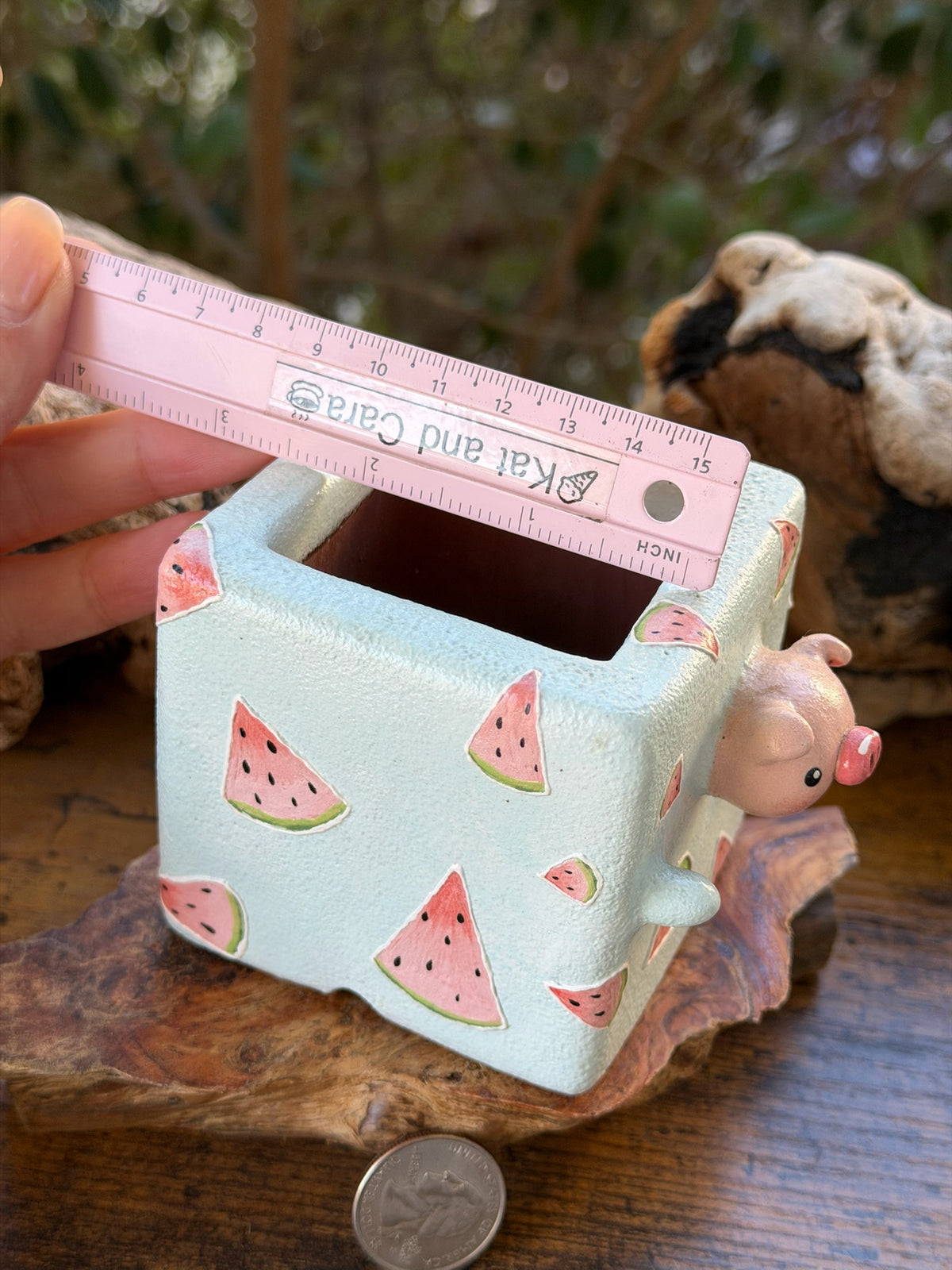 Watermelon pig