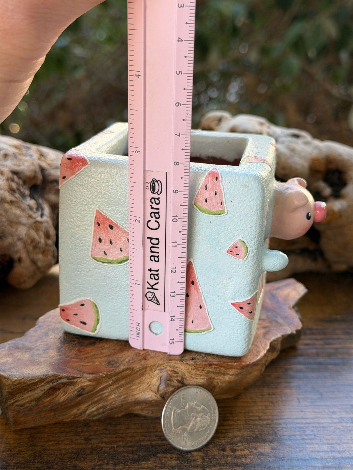 Watermelon pig
