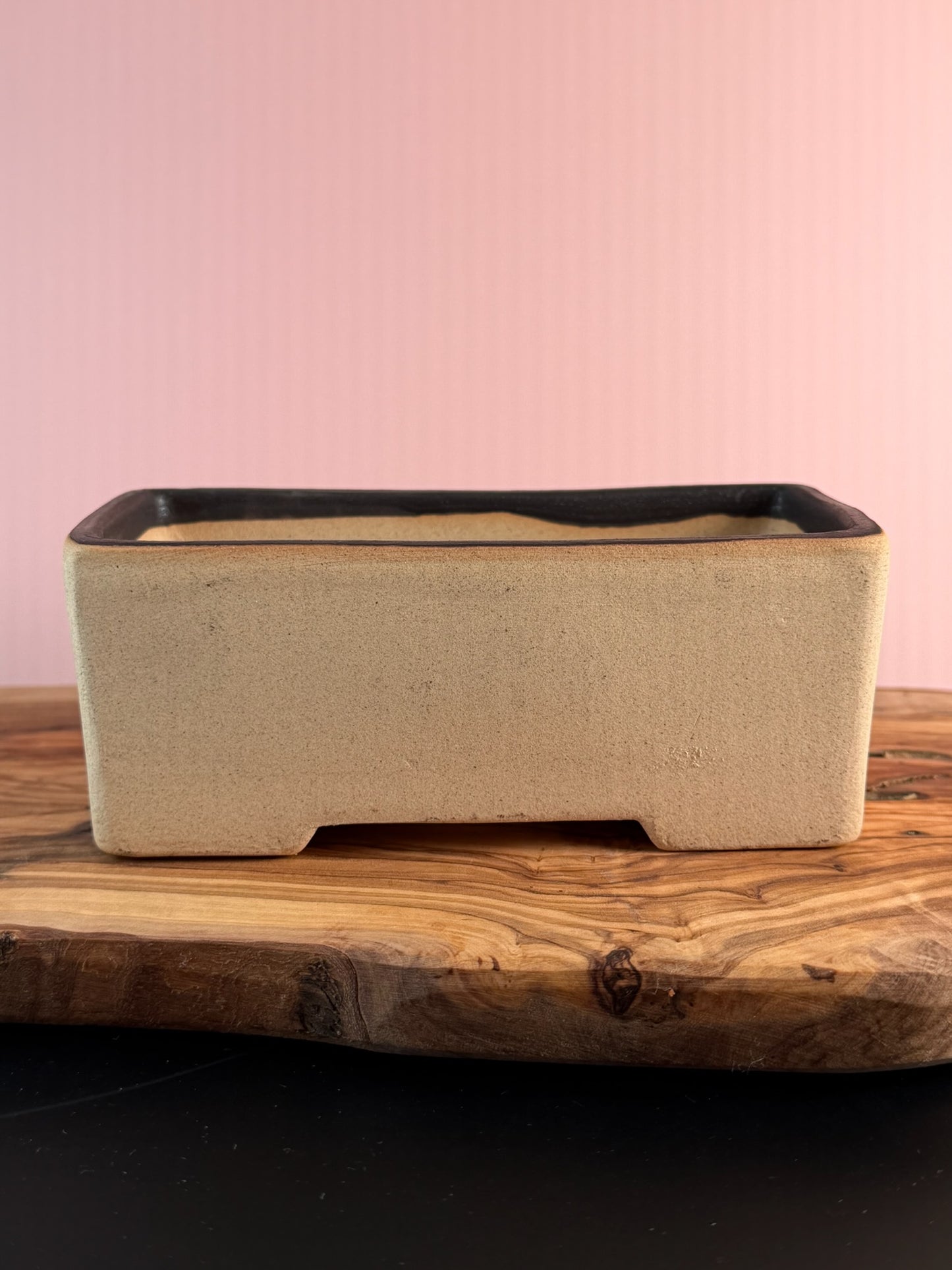 Korean Made Happy House - Cactus with Trees