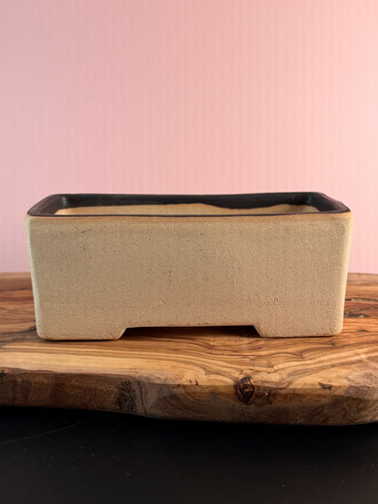 Korean Made Happy House - Cactus with Trees