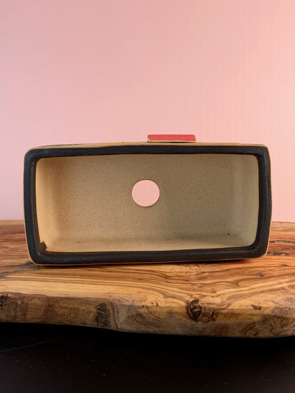 Korean Made Happy House - Cactus with Trees