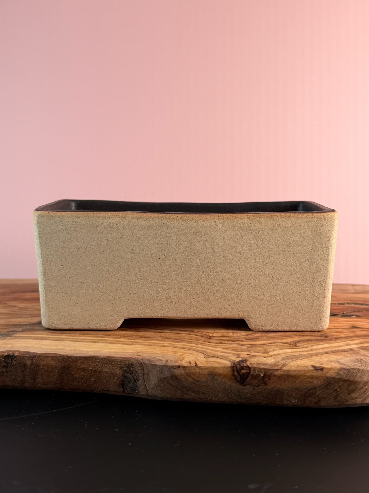 Korean Made Happy House - Roses with String Lights