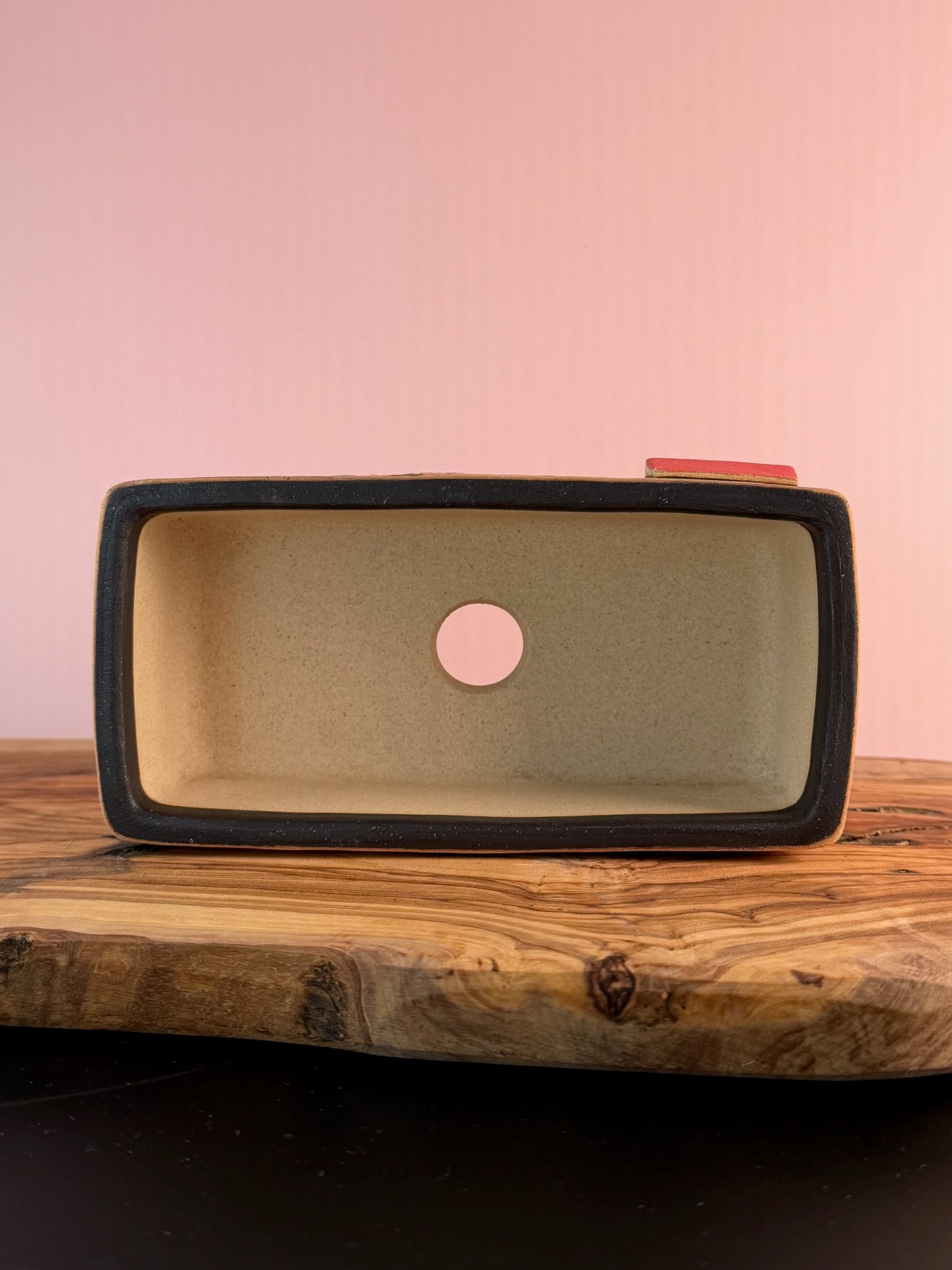 Korean Made Happy House - Roses with String Lights