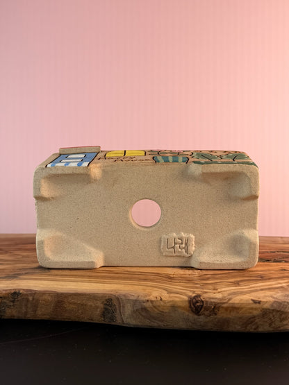 Korean Made Happy House - Roses with String Lights