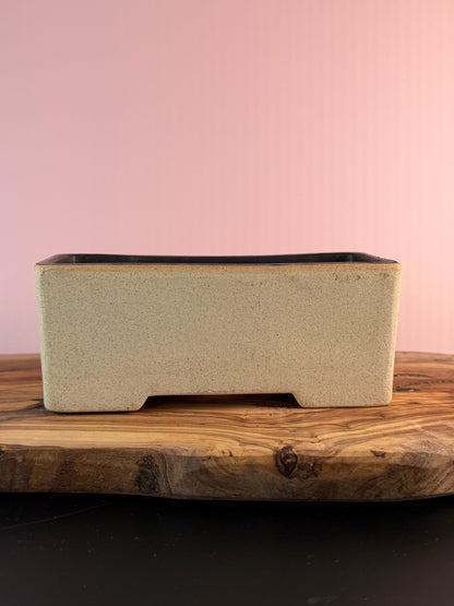 Korean Made Happy House - Roses with Bird House