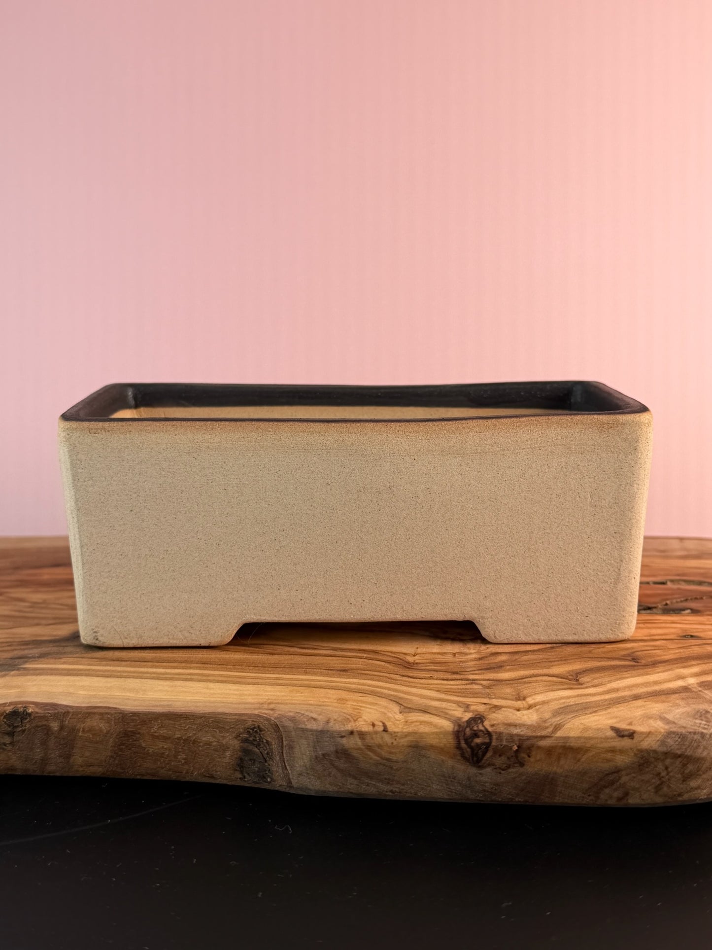 Korean Made Happy House - Cactus with Bird House