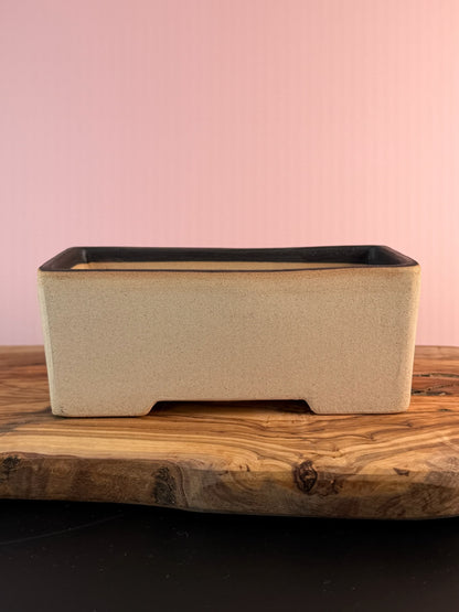 Korean Made Happy House - Cactus with Bird House