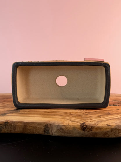 Korean Made Happy House - Cactus with Bird House