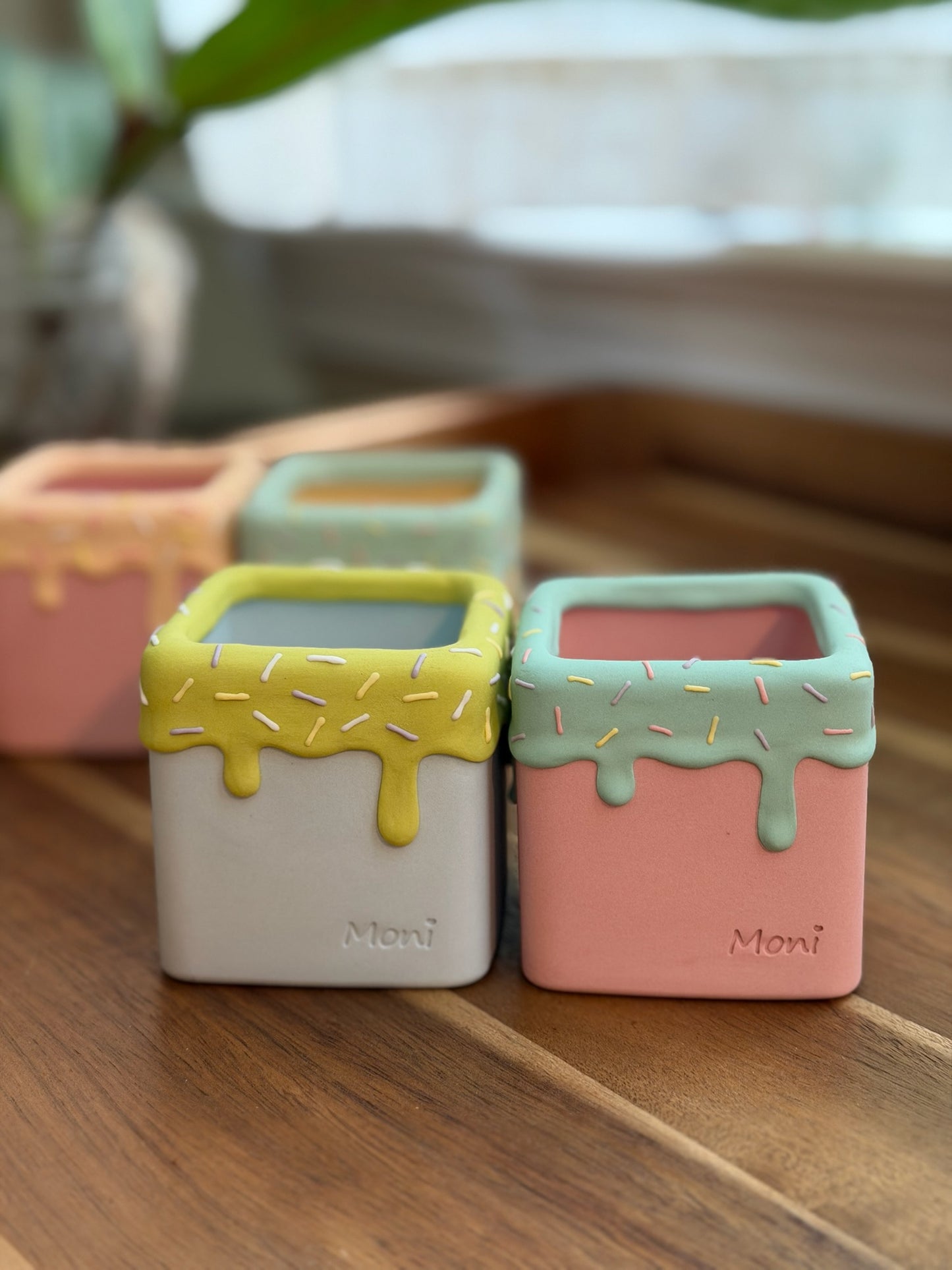 Handmade Ice Cream Cake and Sprinkles succulent planter