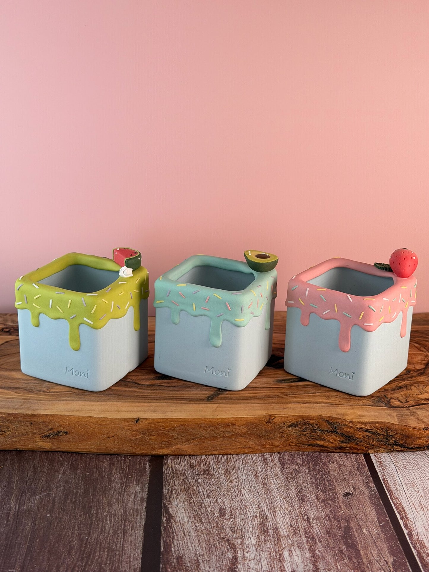 Handmade Ice Cream Cake with Fruits and Sprinkles succulent planter