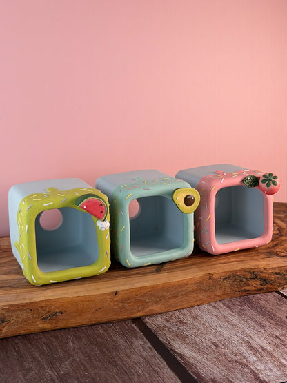 Handmade Ice Cream Cake with Fruits and Sprinkles succulent planter