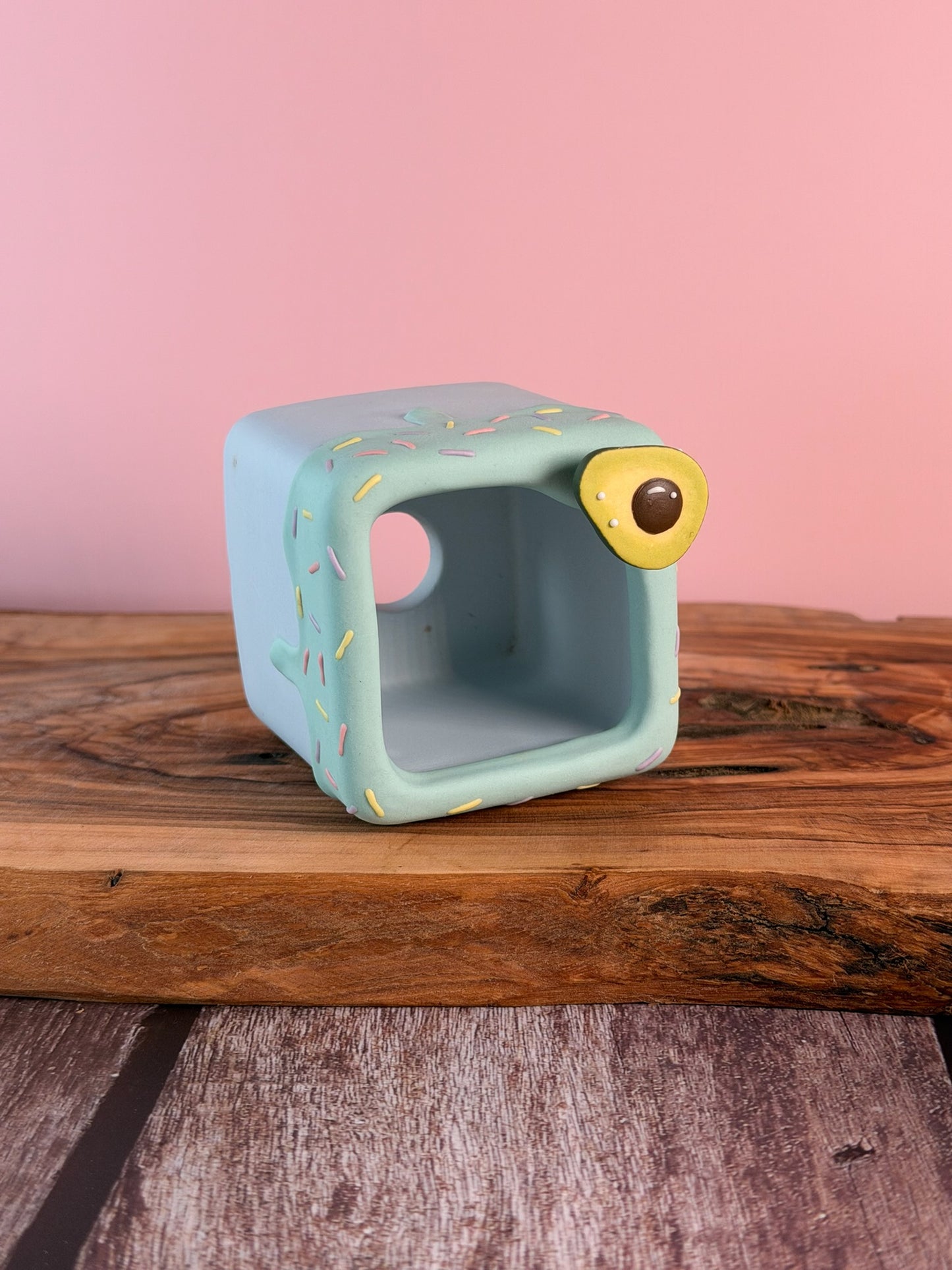 Handmade Ice Cream Cake with Fruits and Sprinkles succulent planter