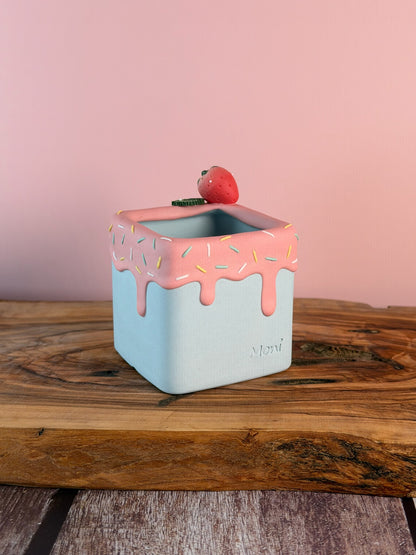 Handmade Ice Cream Cake with Fruits and Sprinkles succulent planter