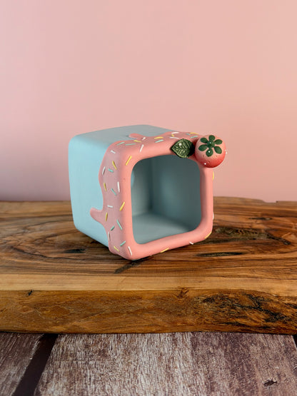 Handmade Ice Cream Cake with Fruits and Sprinkles succulent planter