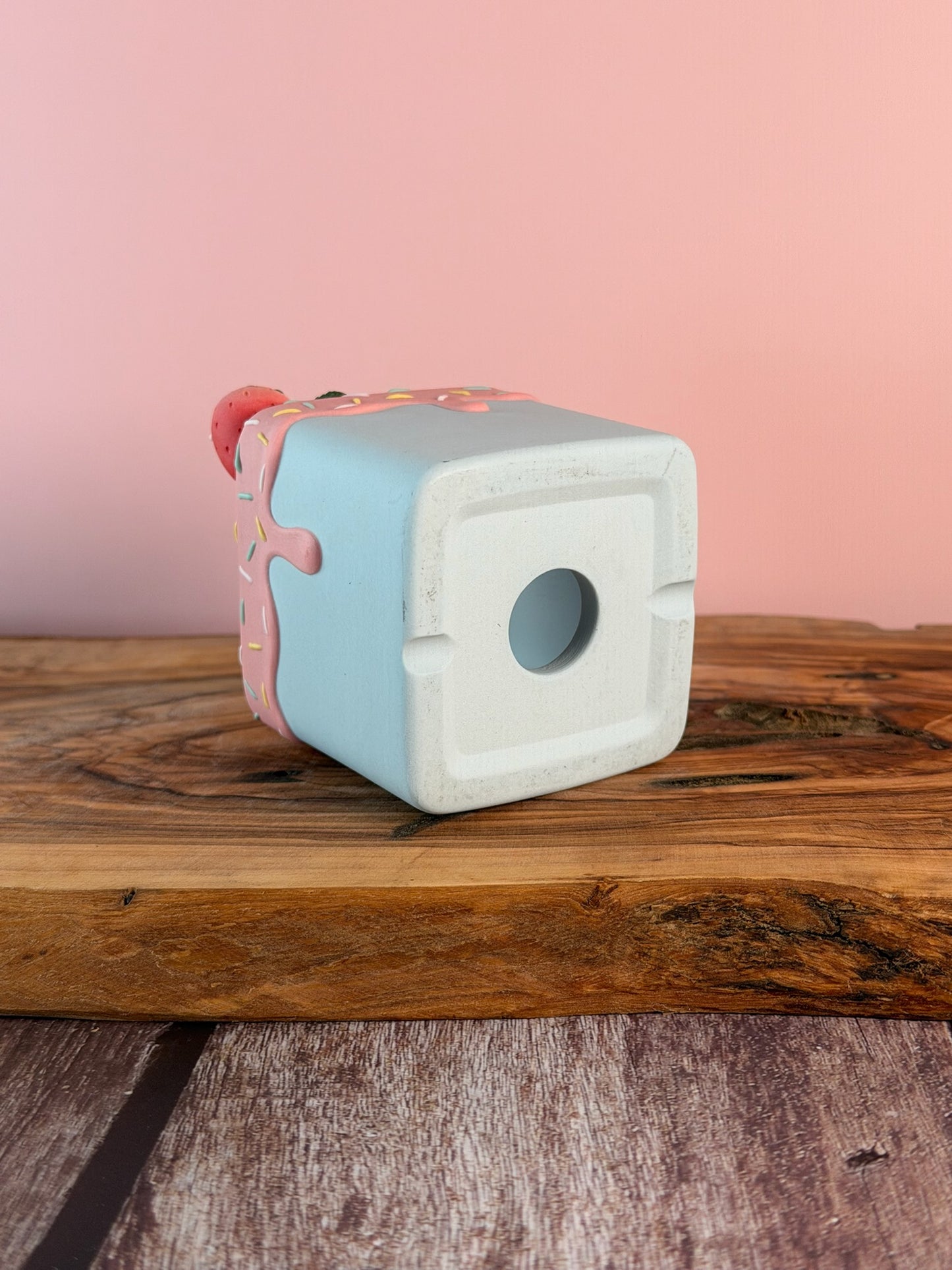 Handmade Ice Cream Cake with Fruits and Sprinkles succulent planter