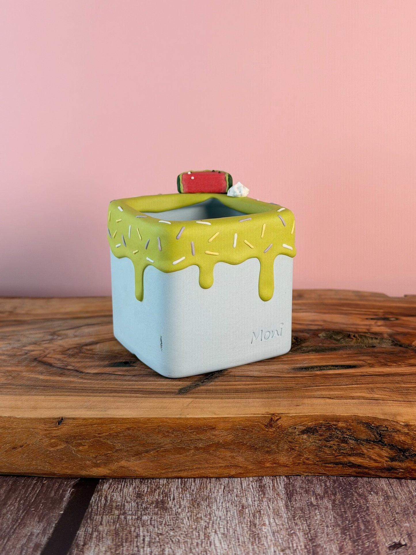 Handmade Ice Cream Cake with Fruits and Sprinkles succulent planter