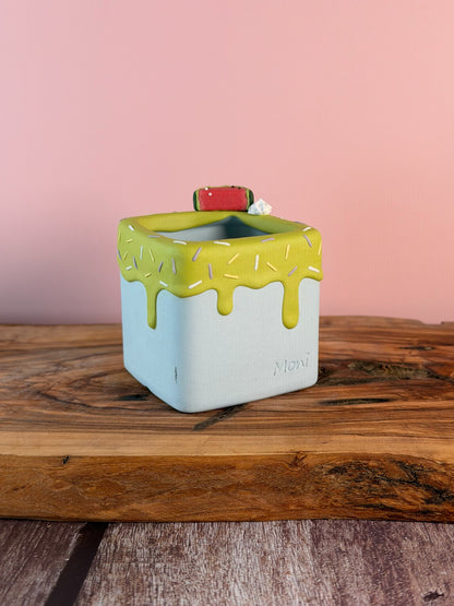 Handmade Ice Cream Cake with Fruits and Sprinkles succulent planter