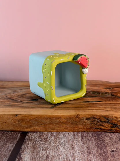 Handmade Ice Cream Cake with Fruits and Sprinkles succulent planter