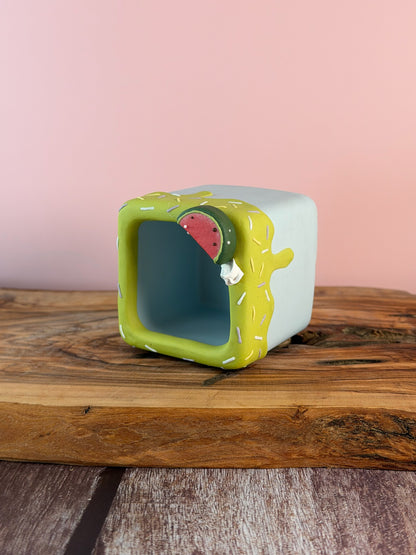 Handmade Ice Cream Cake with Fruits and Sprinkles succulent planter