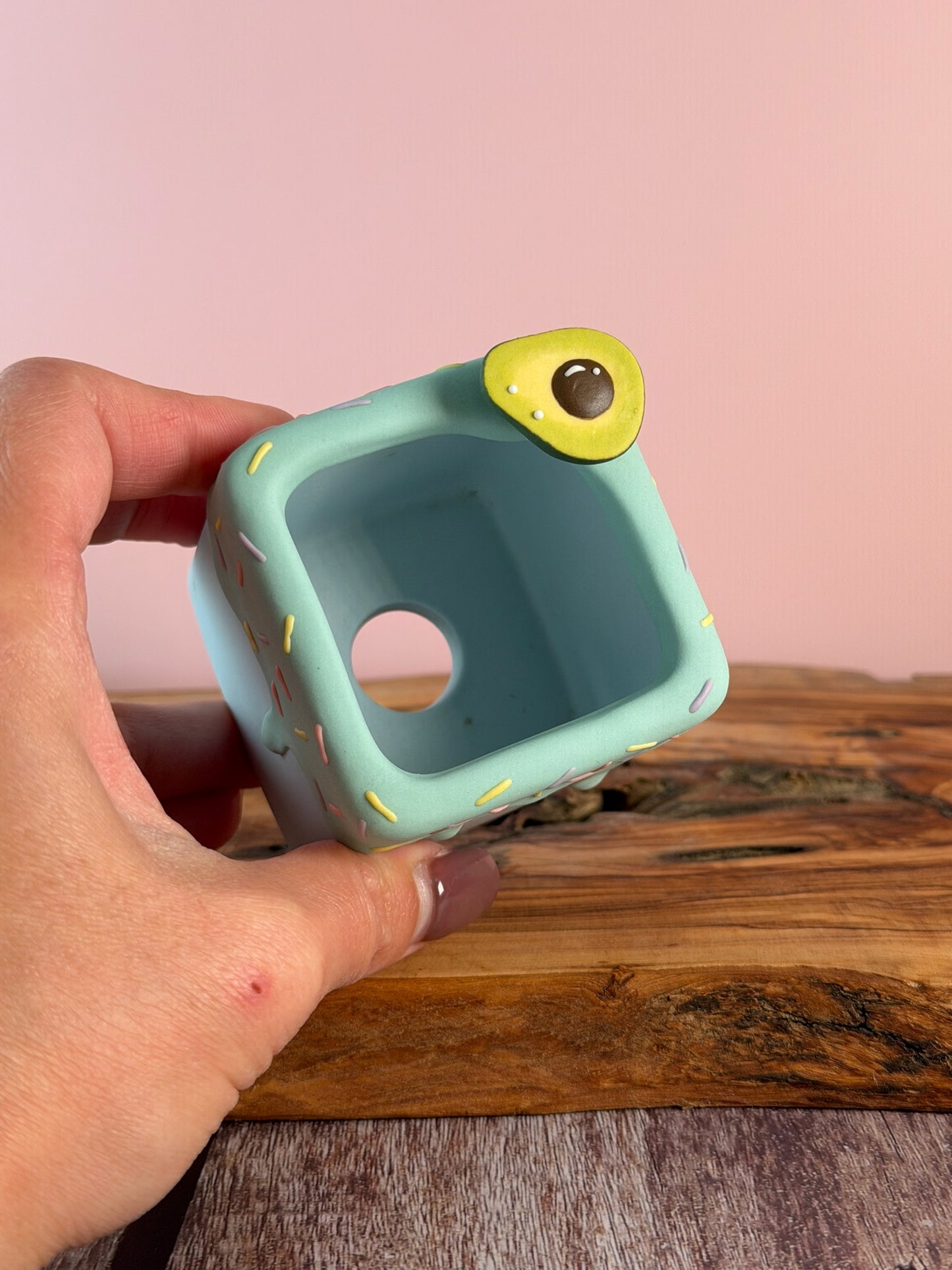 Handmade Ice Cream Cake with Fruits and Sprinkles succulent planter