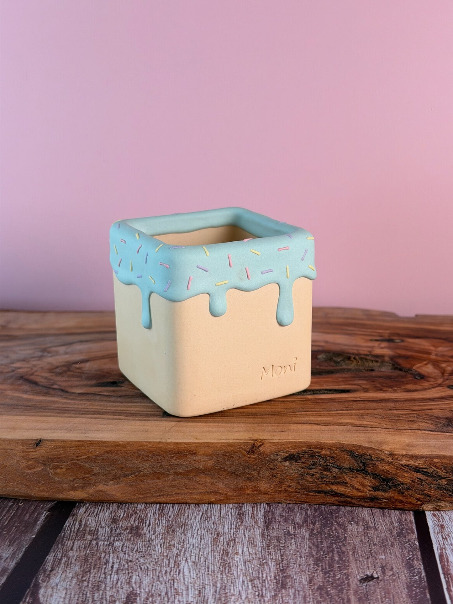 Handmade Ice Cream Cake and Sprinkles succulent planter