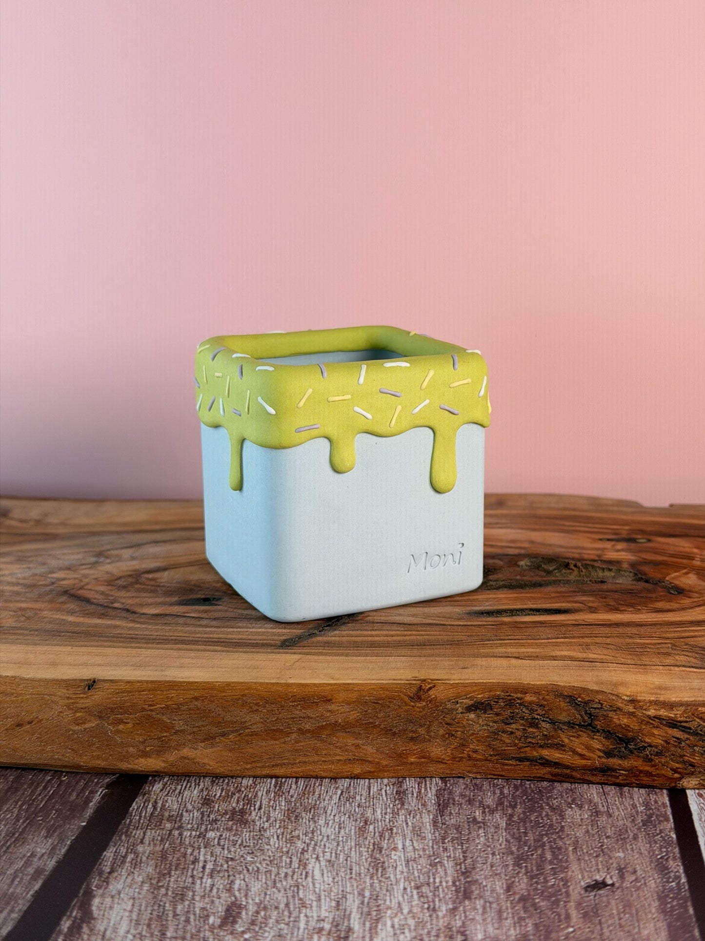 Handmade Ice Cream Cake and Sprinkles succulent planter