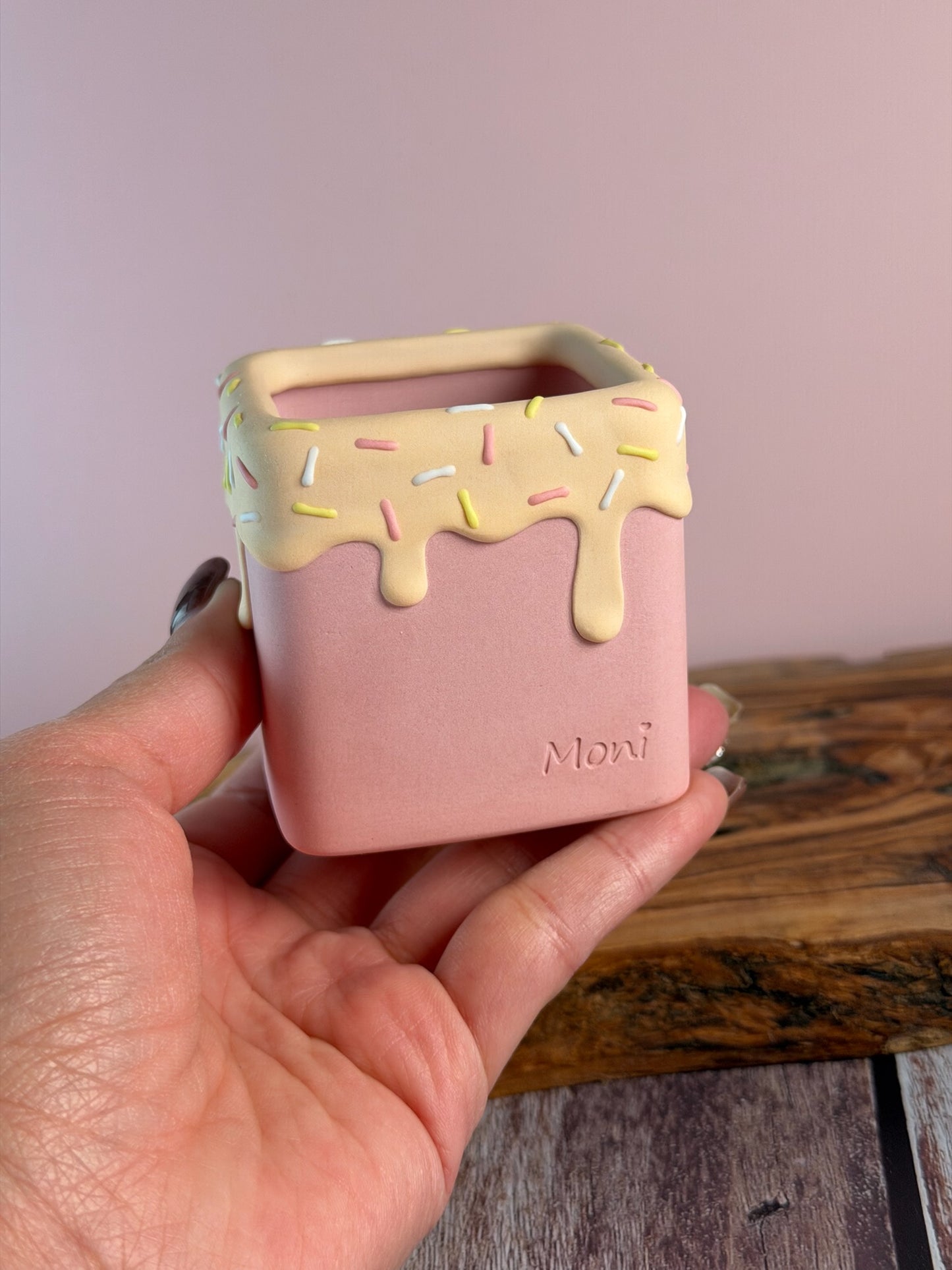 Handmade Ice Cream Cake and Sprinkles succulent planter