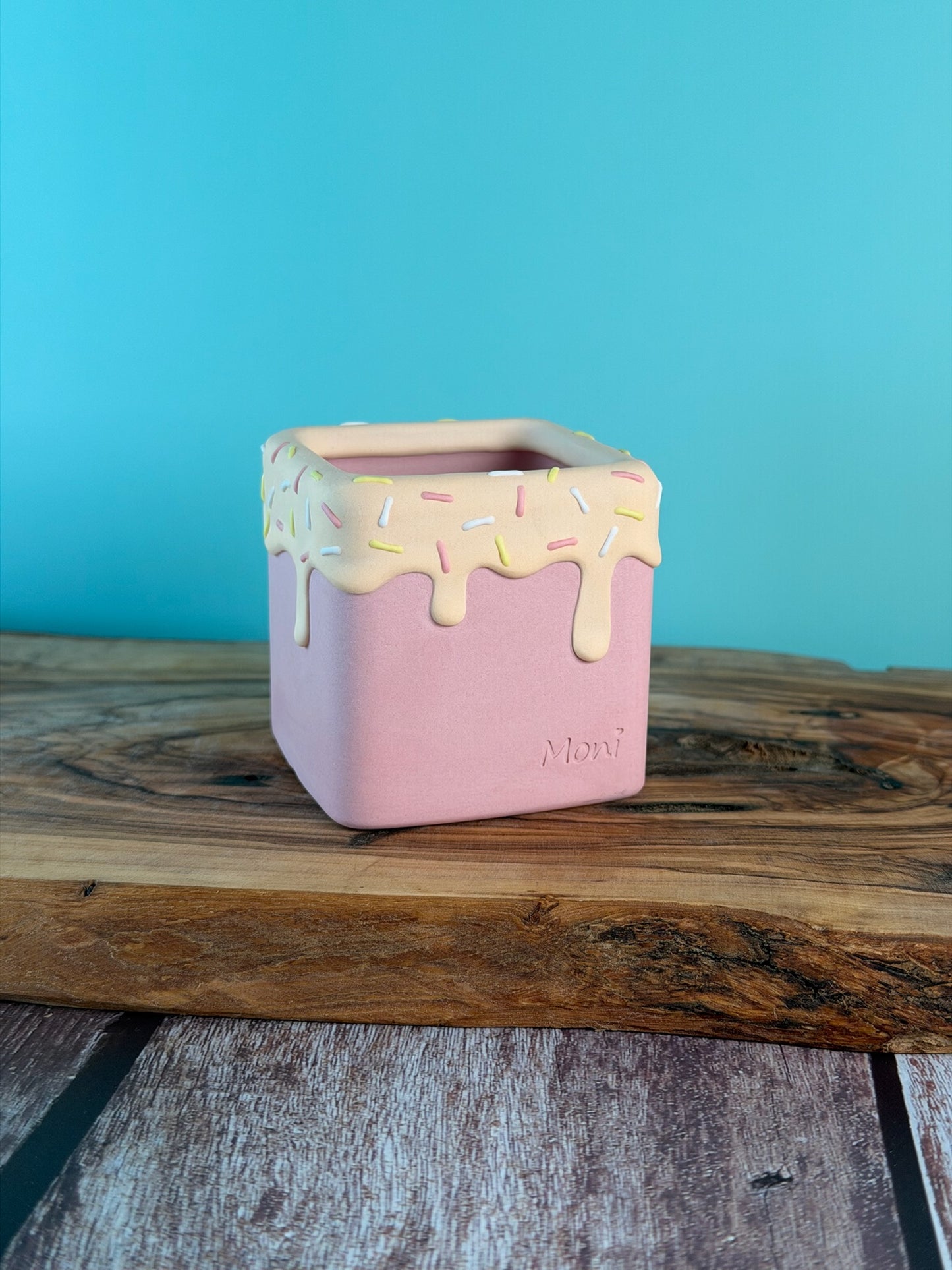 Handmade Ice Cream Cake and Sprinkles succulent planter