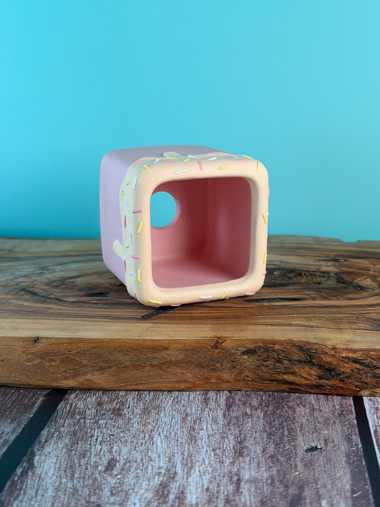 Handmade Ice Cream Cake and Sprinkles succulent planter