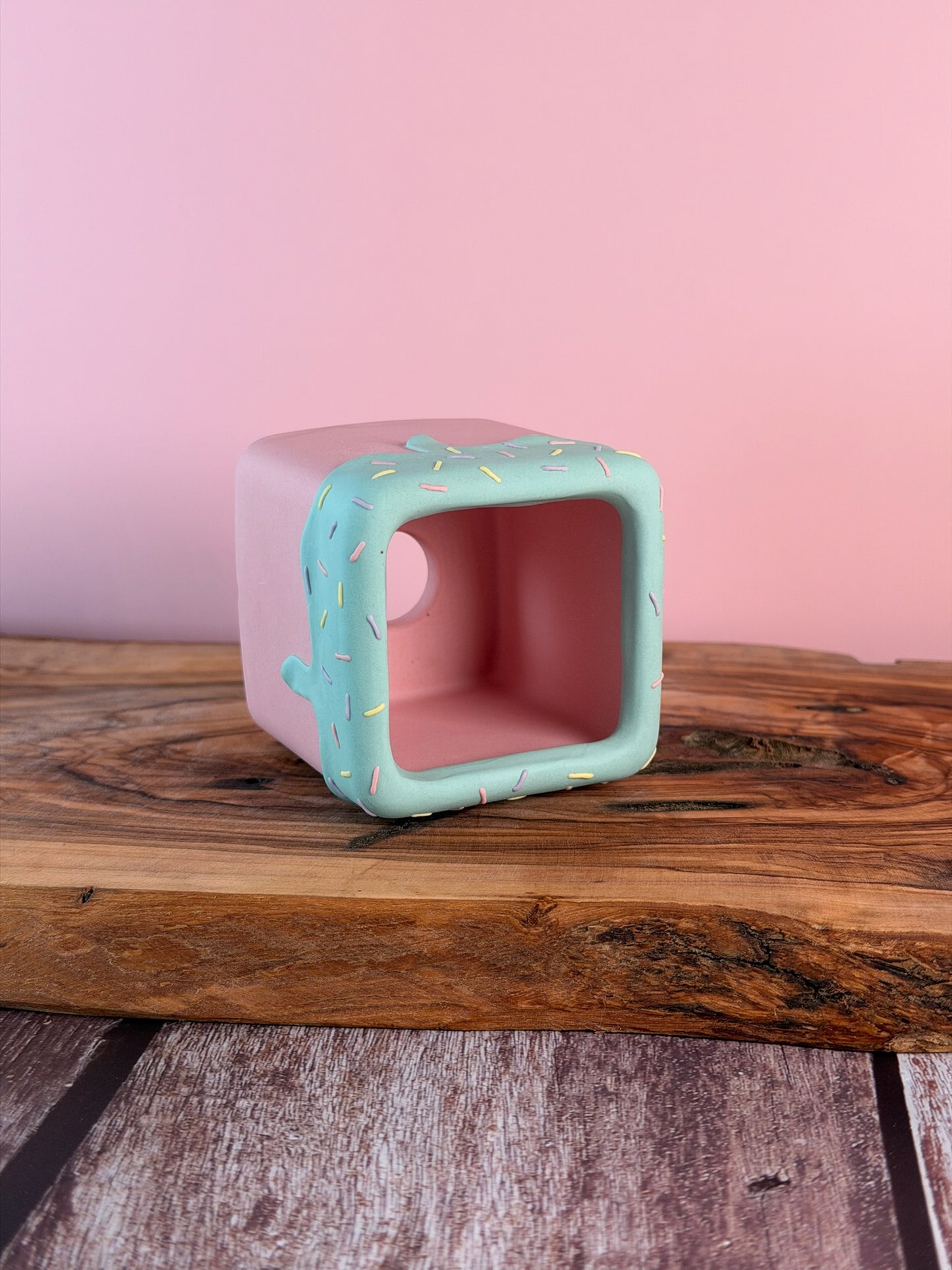 Handmade Ice Cream Cake and Sprinkles succulent planter