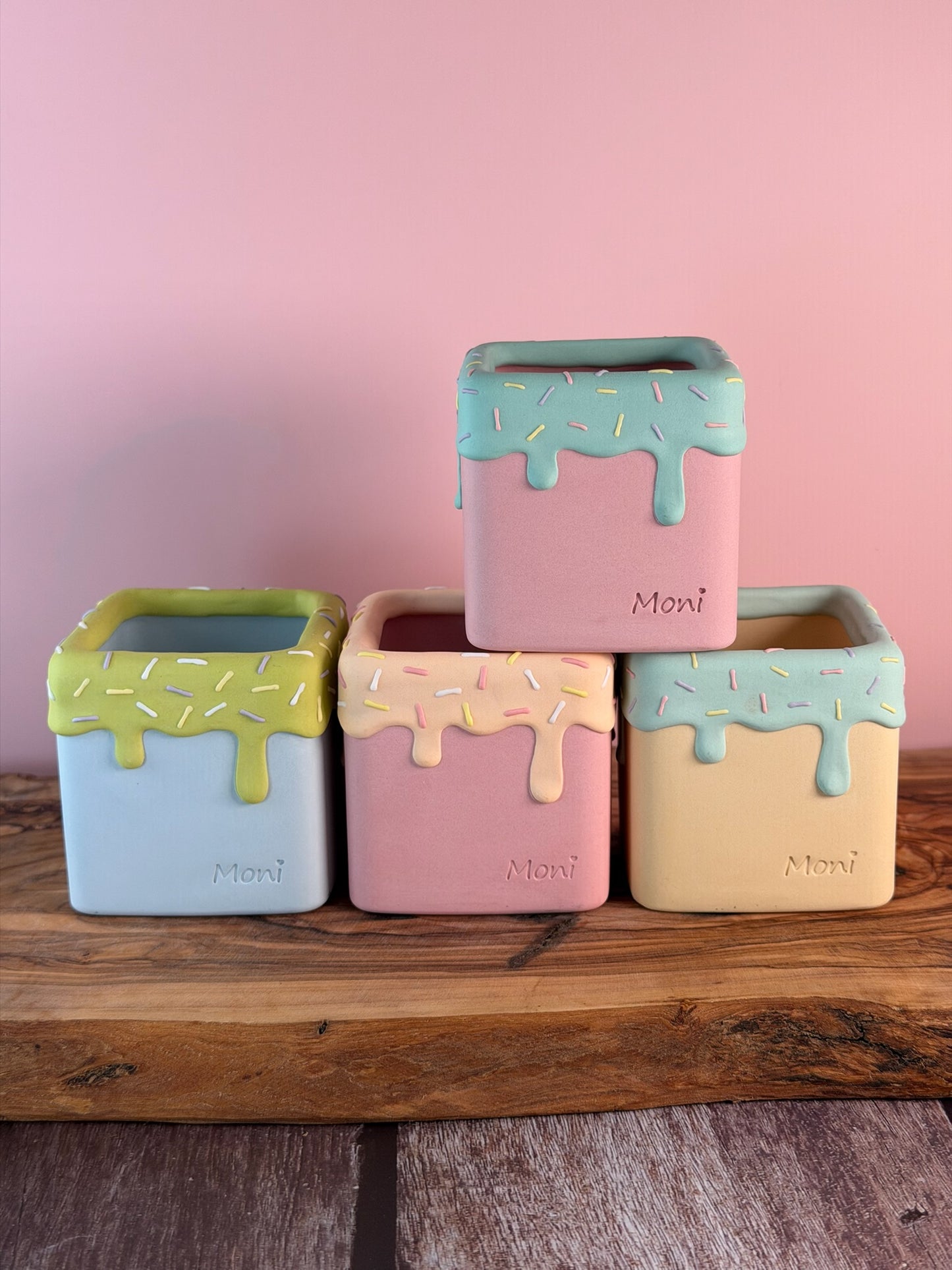 Handmade Ice Cream Cake and Sprinkles succulent planter