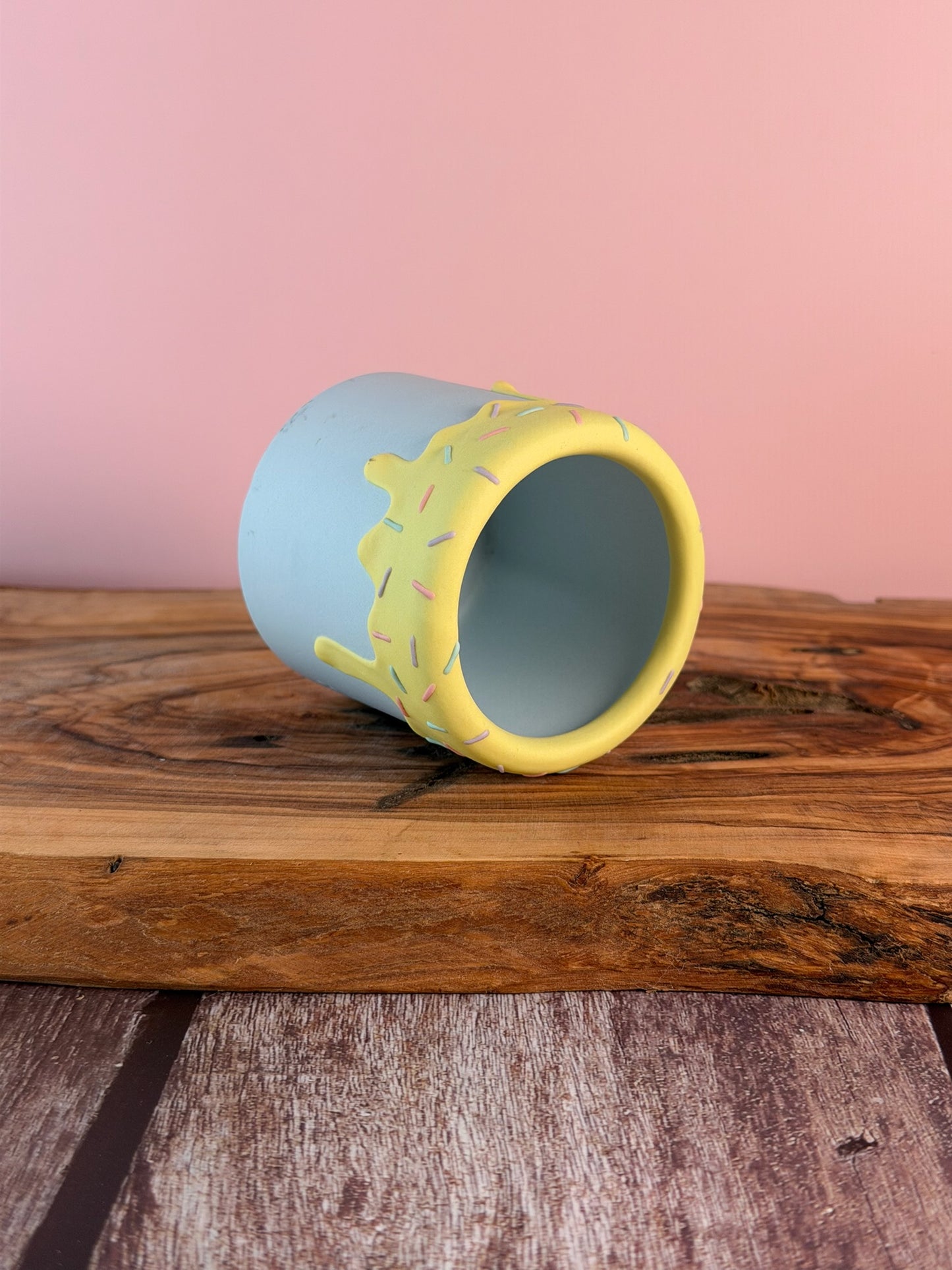 Handmade Ice Cream Cake and Sprinkles succulent planter Round