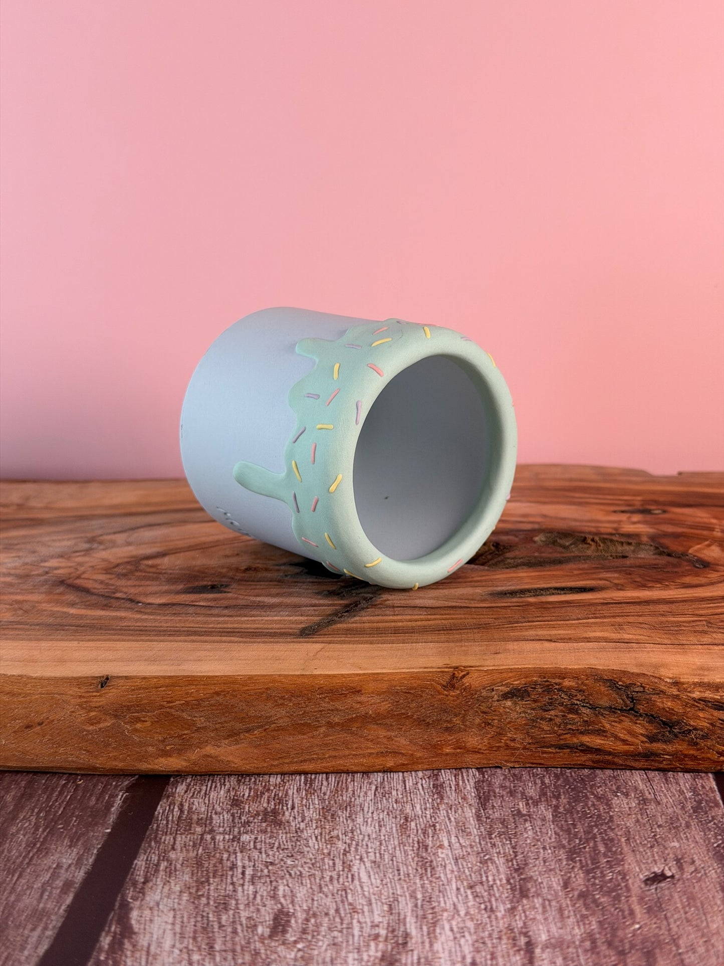 Handmade Ice Cream Cake and Sprinkles succulent planter Round