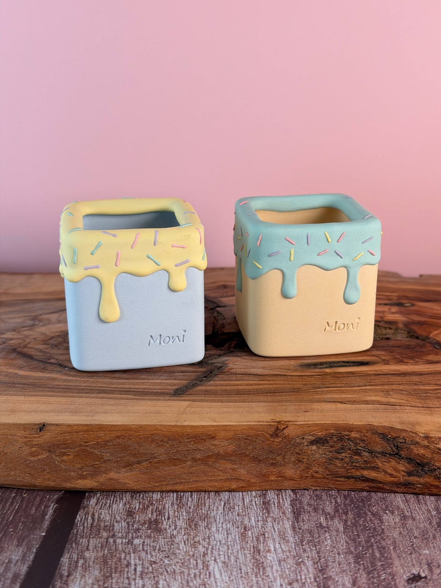 Handmade Ice Cream Cake and Sprinkles succulent planter