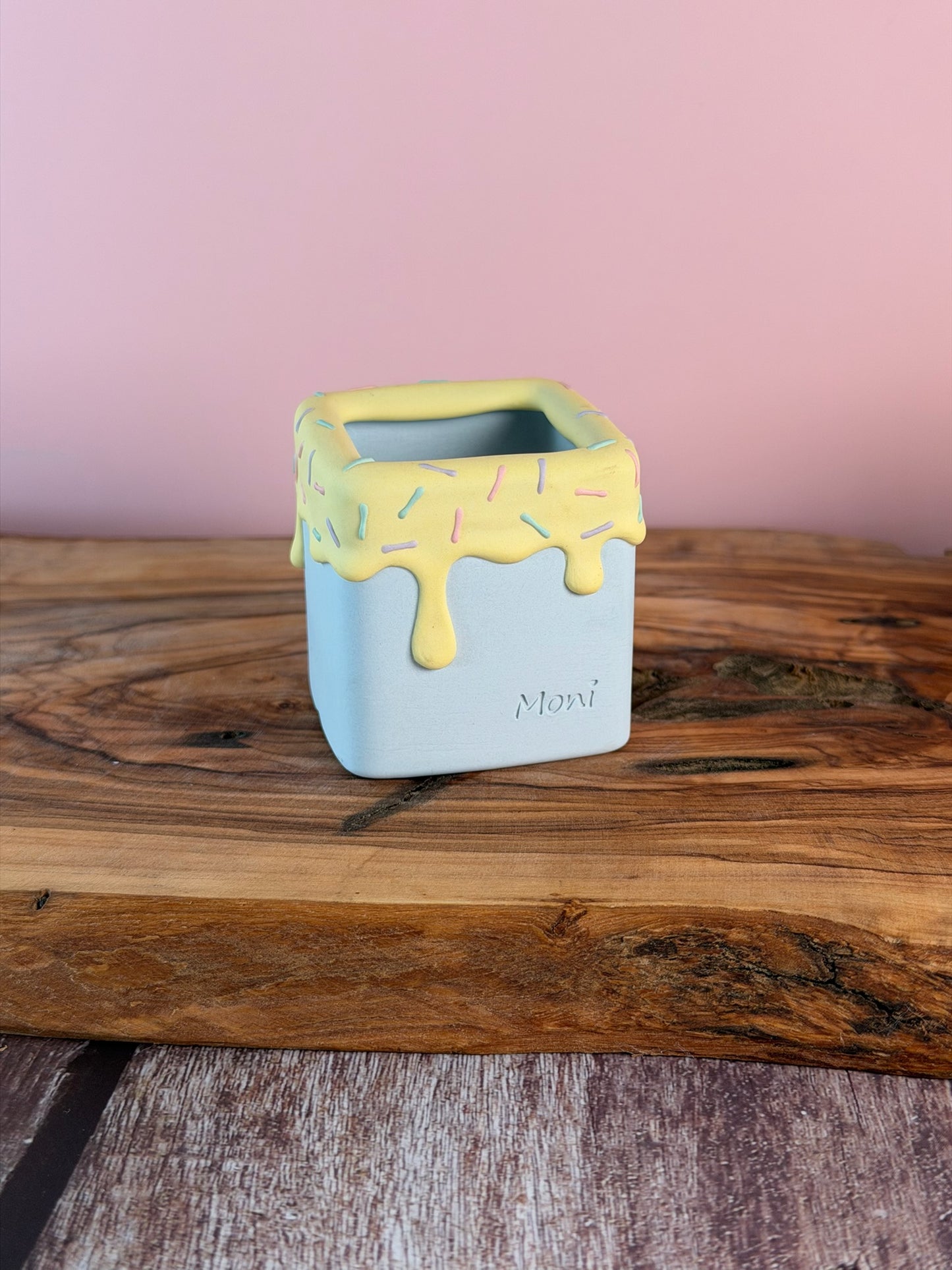 Handmade Ice Cream Cake and Sprinkles succulent planter