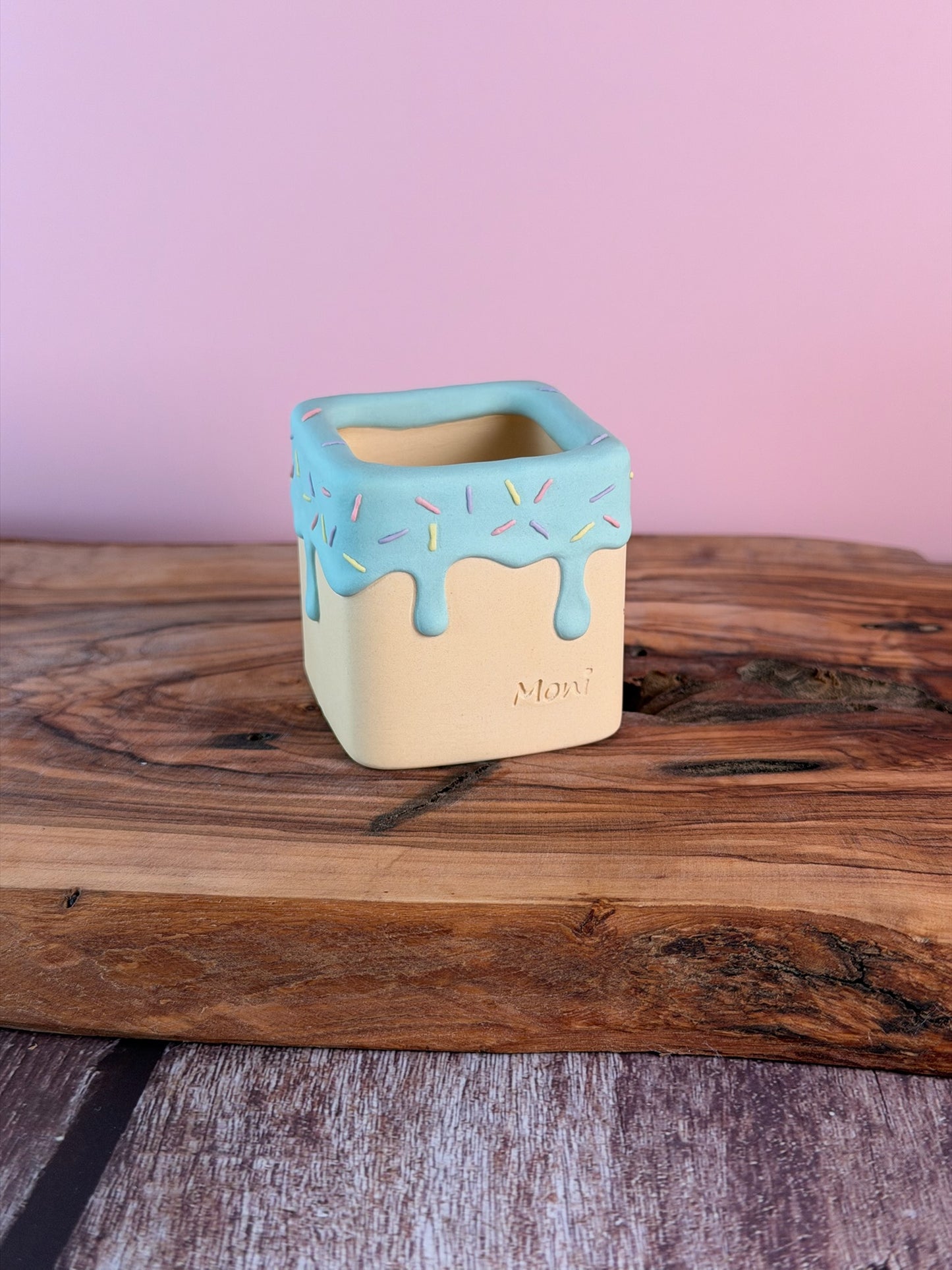 Handmade Ice Cream Cake and Sprinkles succulent planter