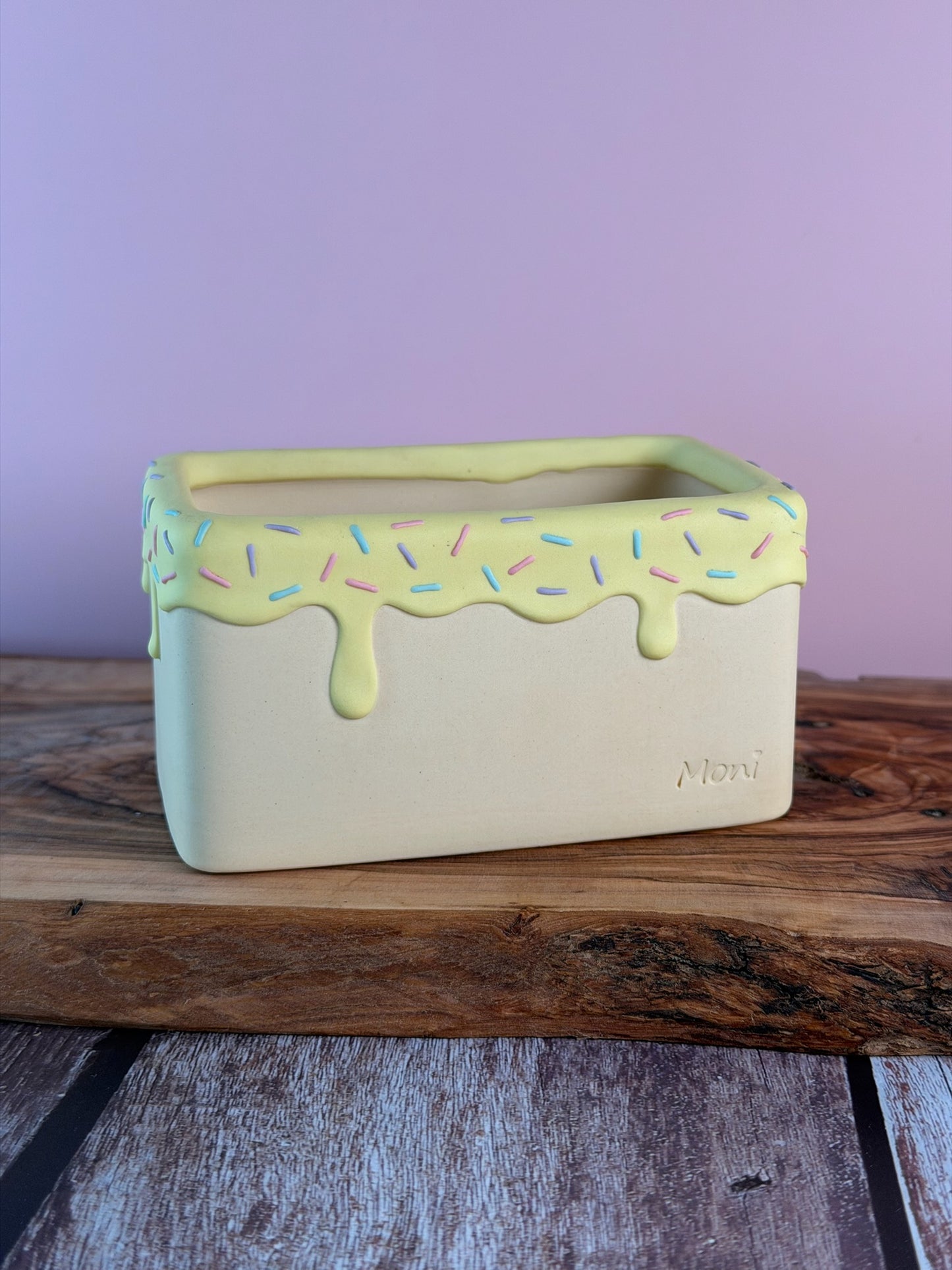 Handmade Ice Cream Cake and Sprinkles succulent planter Rectangular