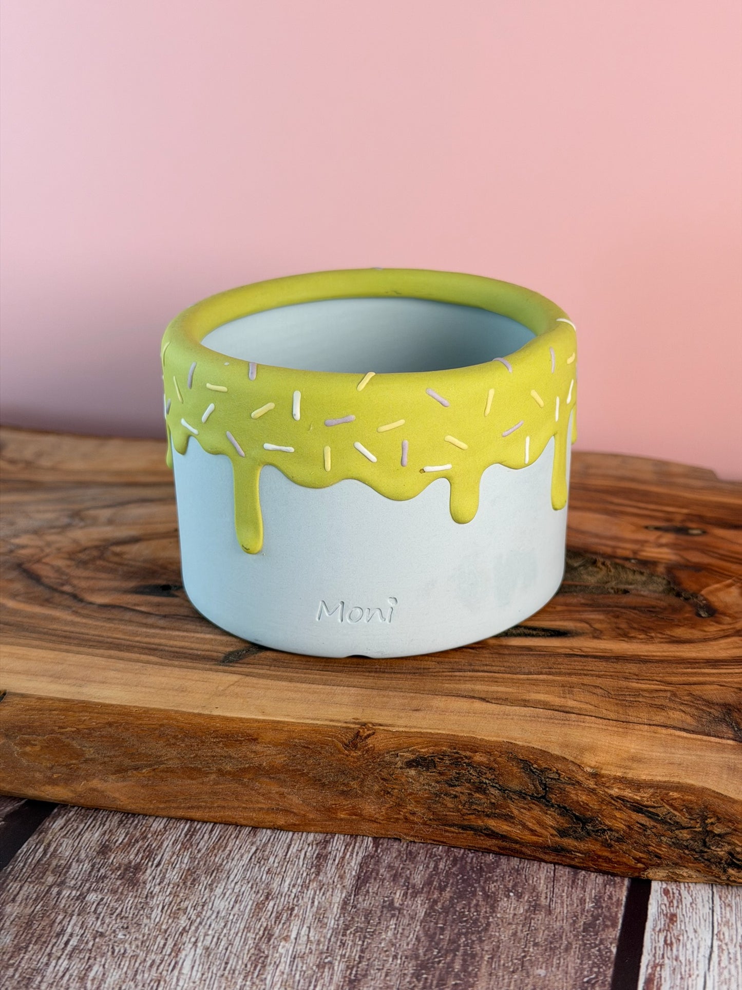 Handmade Ice Cream Bowl with Sprinkles Succulent Planter