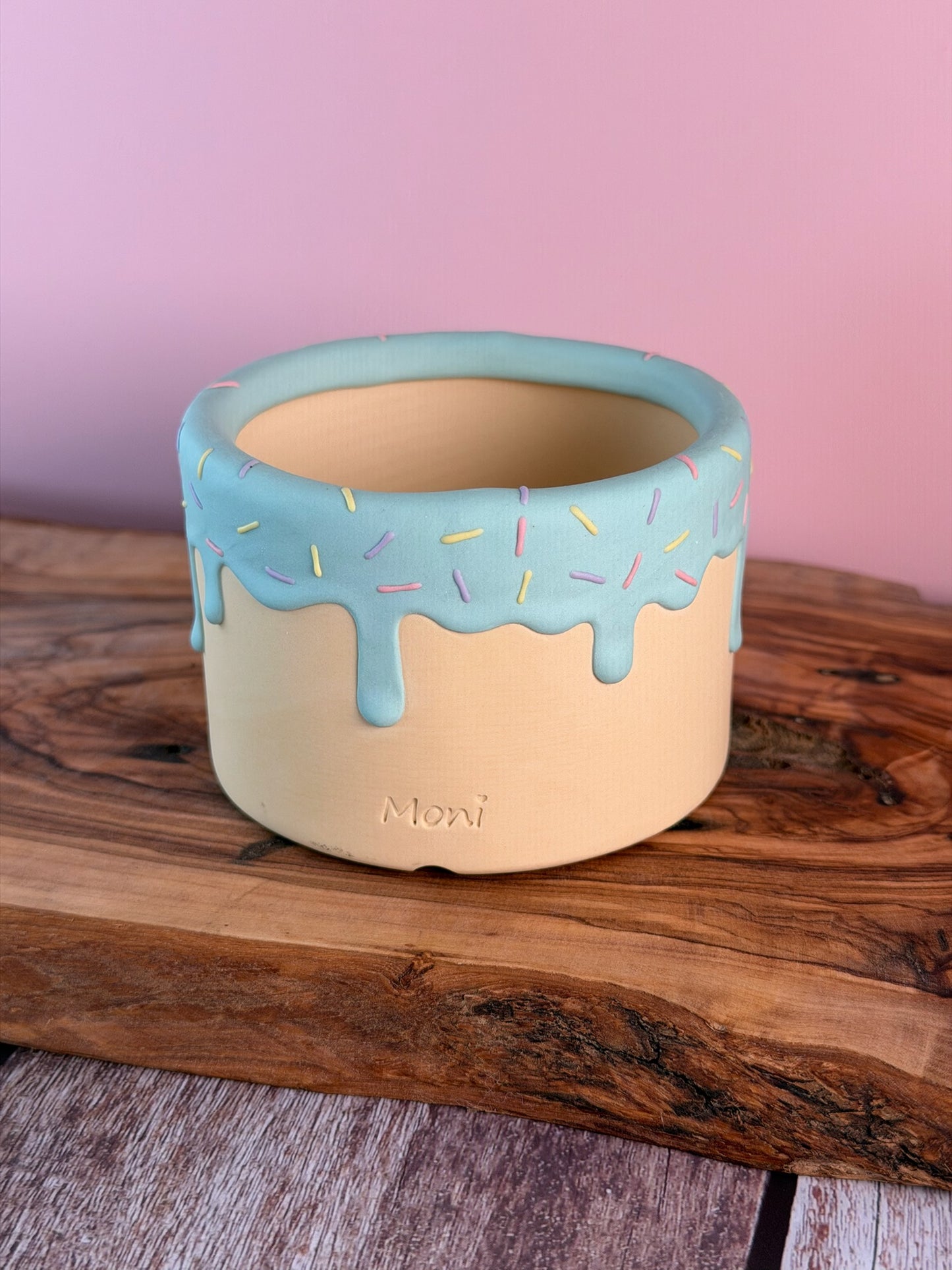 Handmade Ice Cream Bowl with Sprinkles Succulent Planter