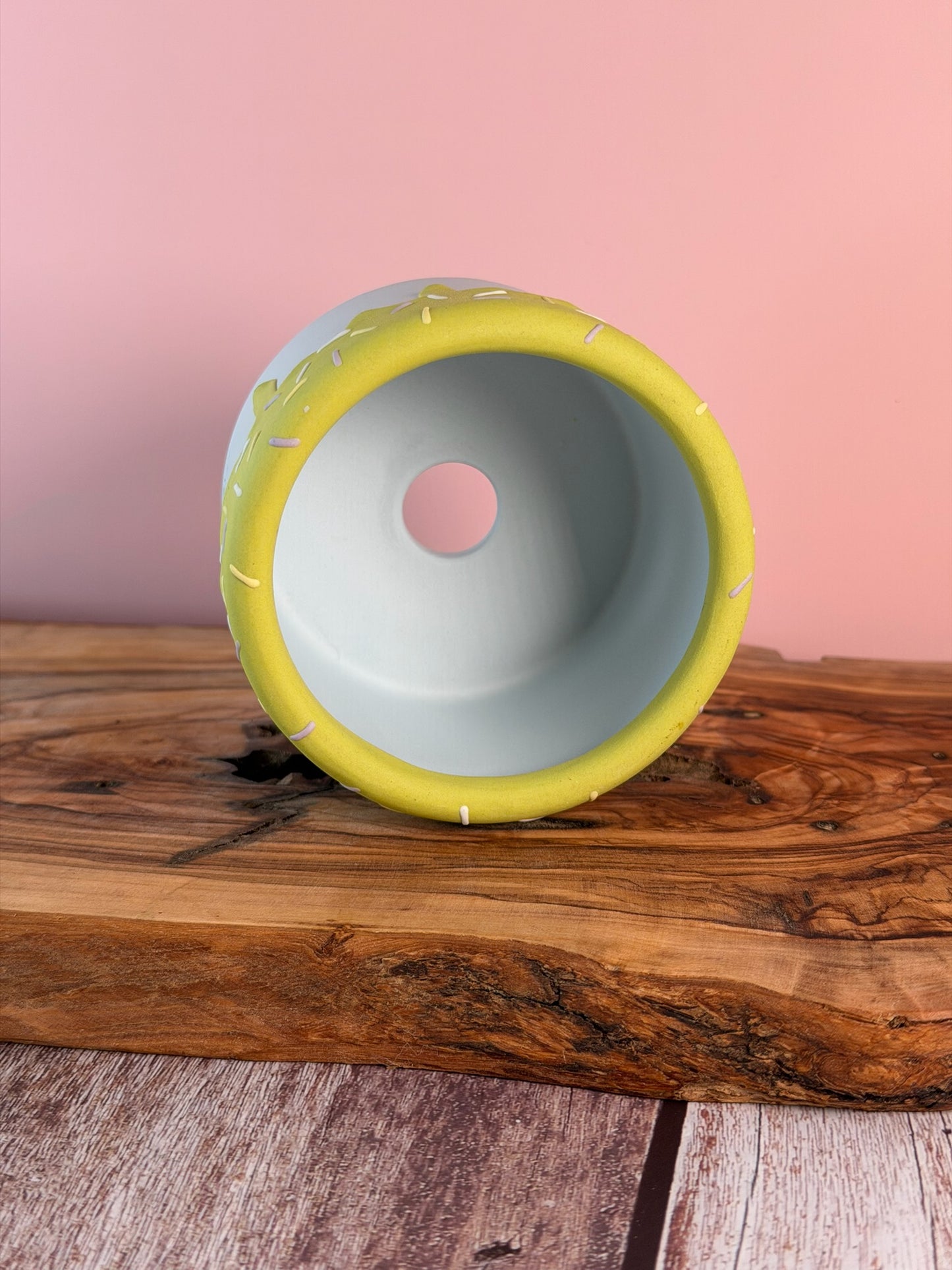 Handmade Ice Cream Bowl with Sprinkles Succulent Planter