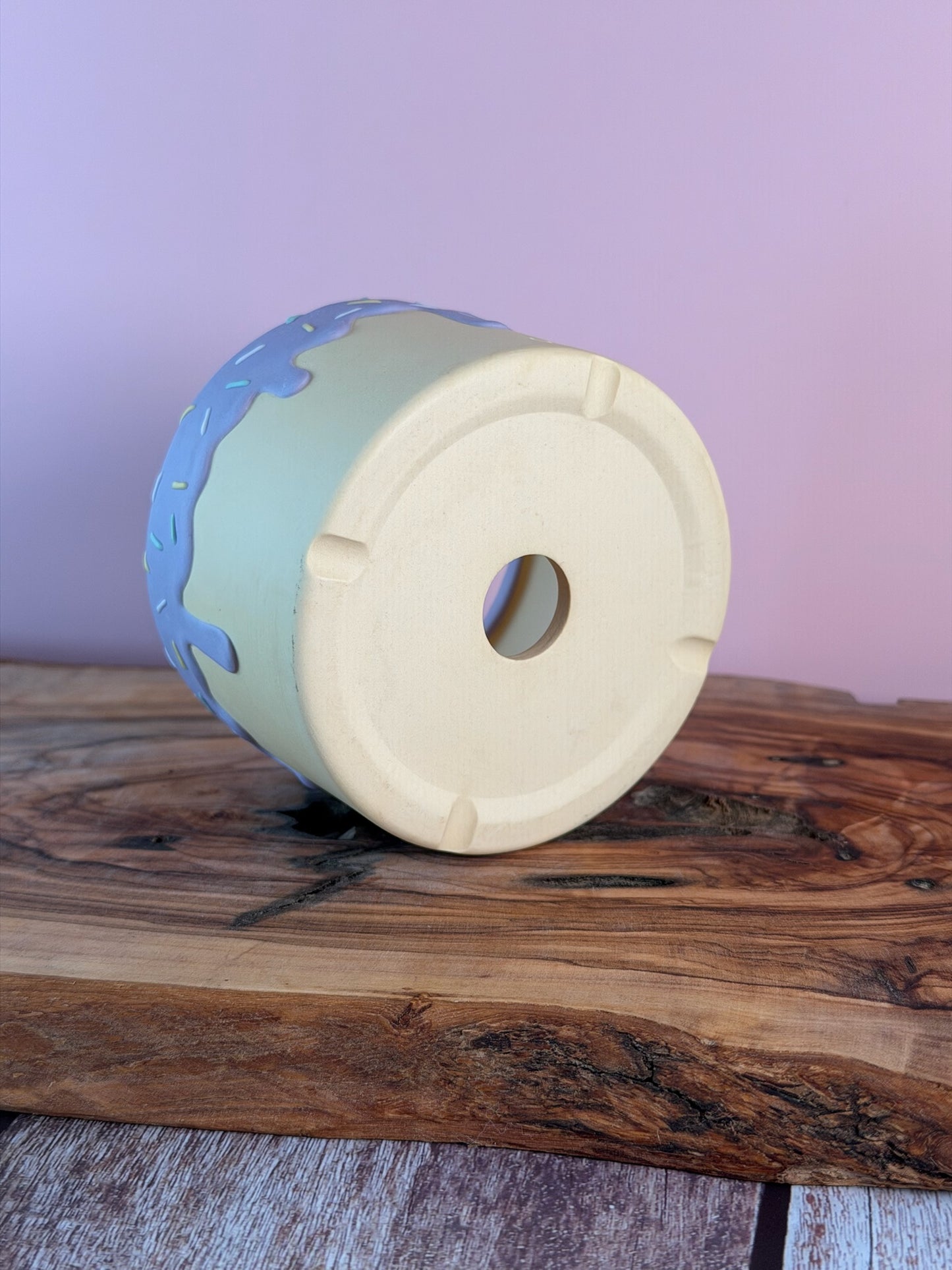 Handmade Ice Cream Bowl with Sprinkles Succulent Planter