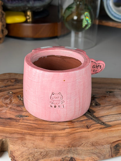 Bear Gift Shop - pink