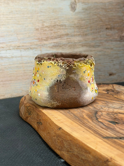 Hand Painted Planter with Apricot Blossom