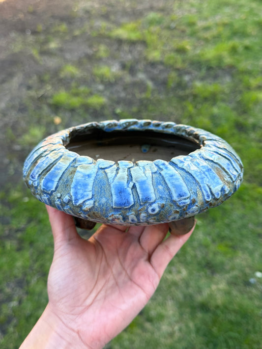 Blue Round Disk
